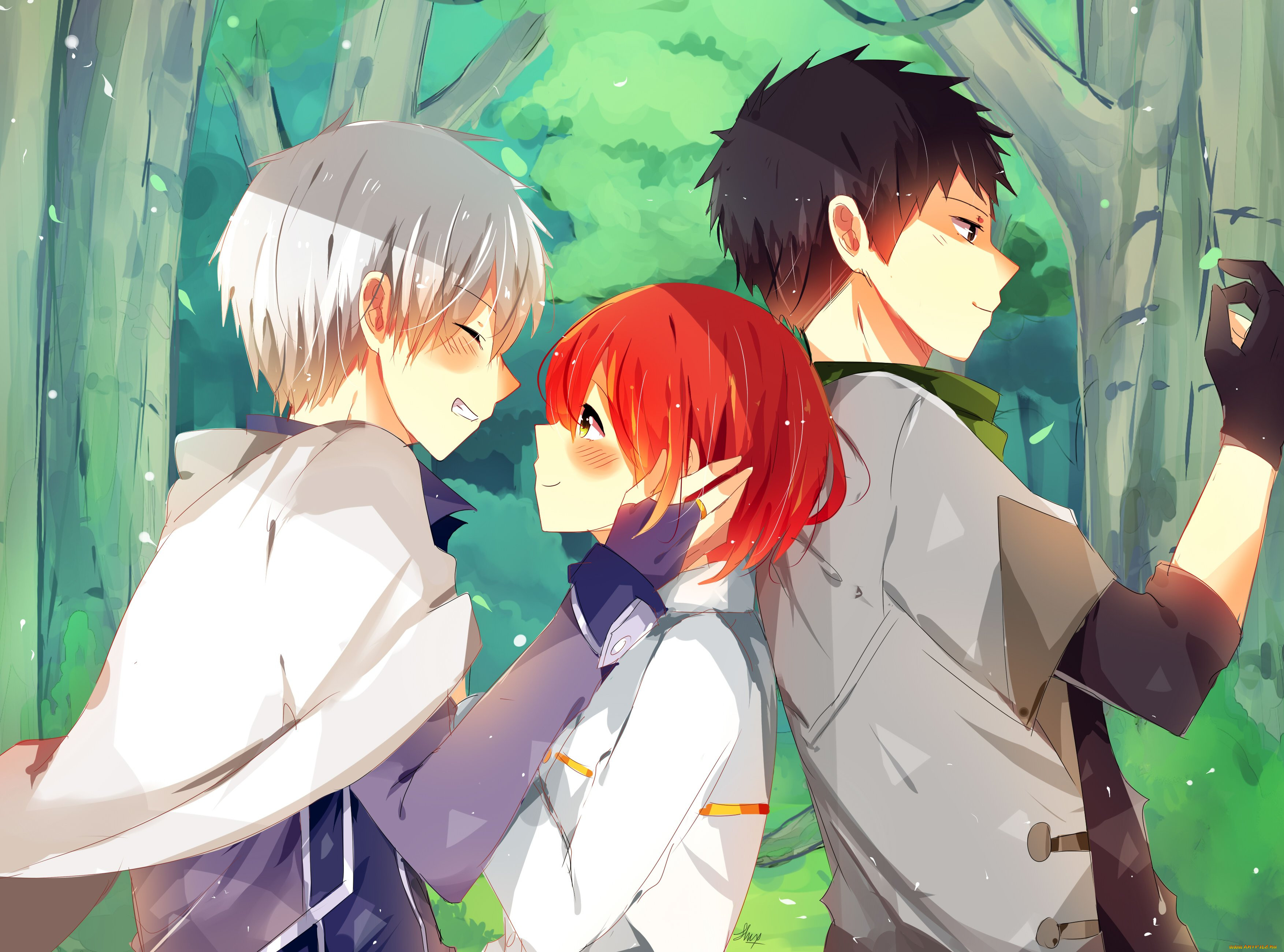 , akagami no shirayukihime, akagami, no, shirayukihime